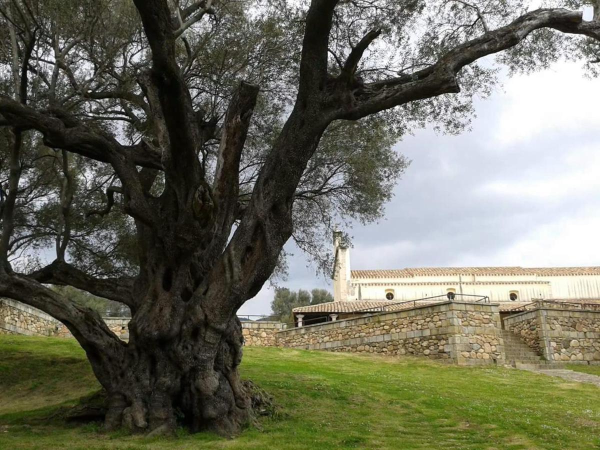 Casa Alice Daire Villacidro Dış mekan fotoğraf